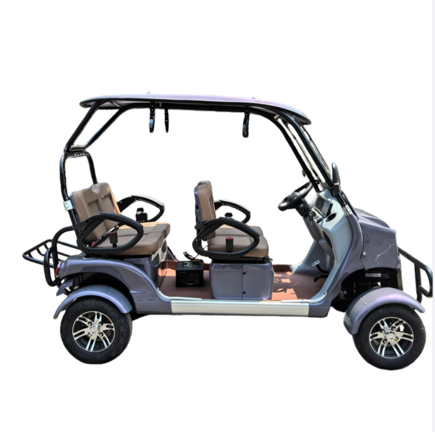 سيارة كهربائية متعددة الاستخدامات مع 60V80A بطارية لمشاهدة المناظر الخلابة