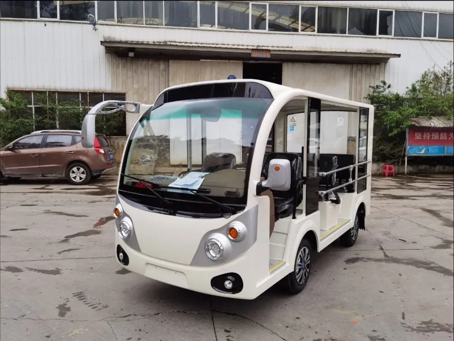 Electric Sightseeing Car 1