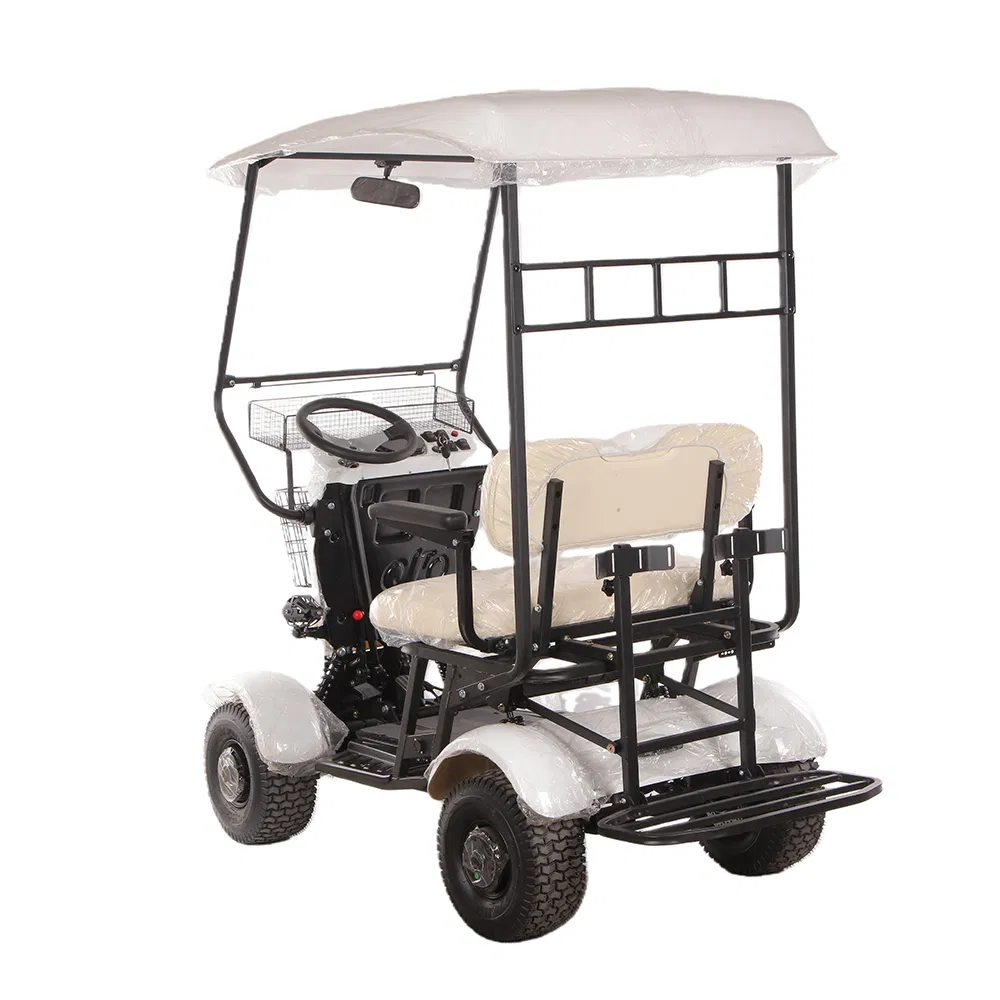 Electric Golf Cart