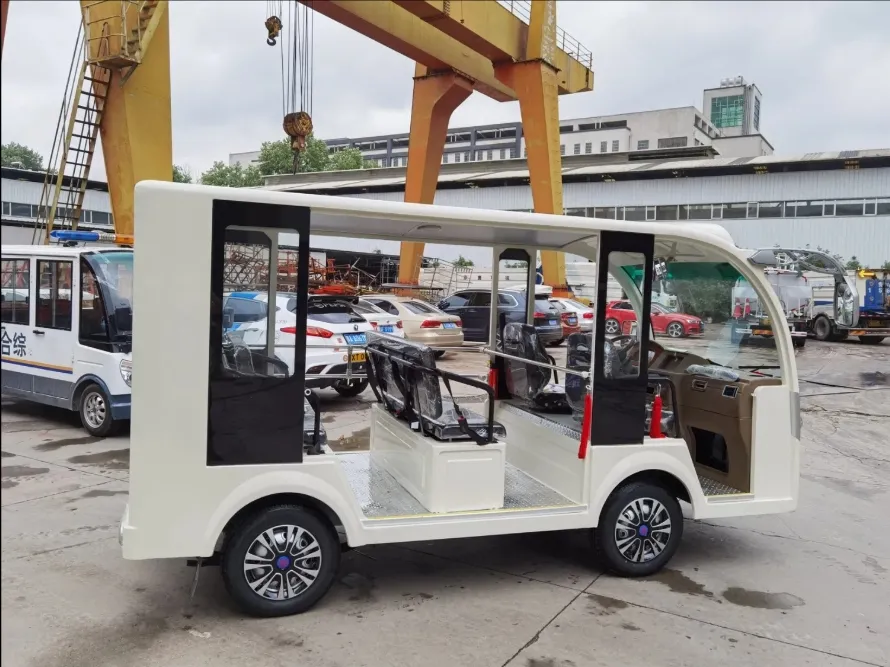 Electric Sightseeing Car 2