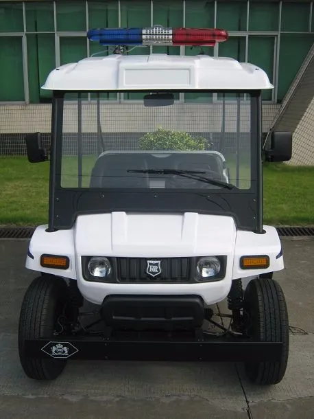Electric Golf Car 3