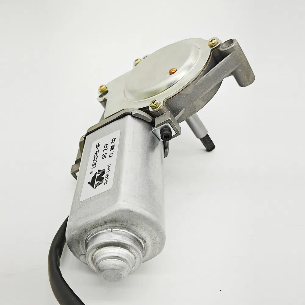 Lwzd206L-MB 11.0max Current Door Pump Micro DC Motor for Automation Equipment
