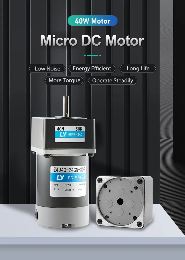 40W Micro Reversible Brushed DC Geared Motor