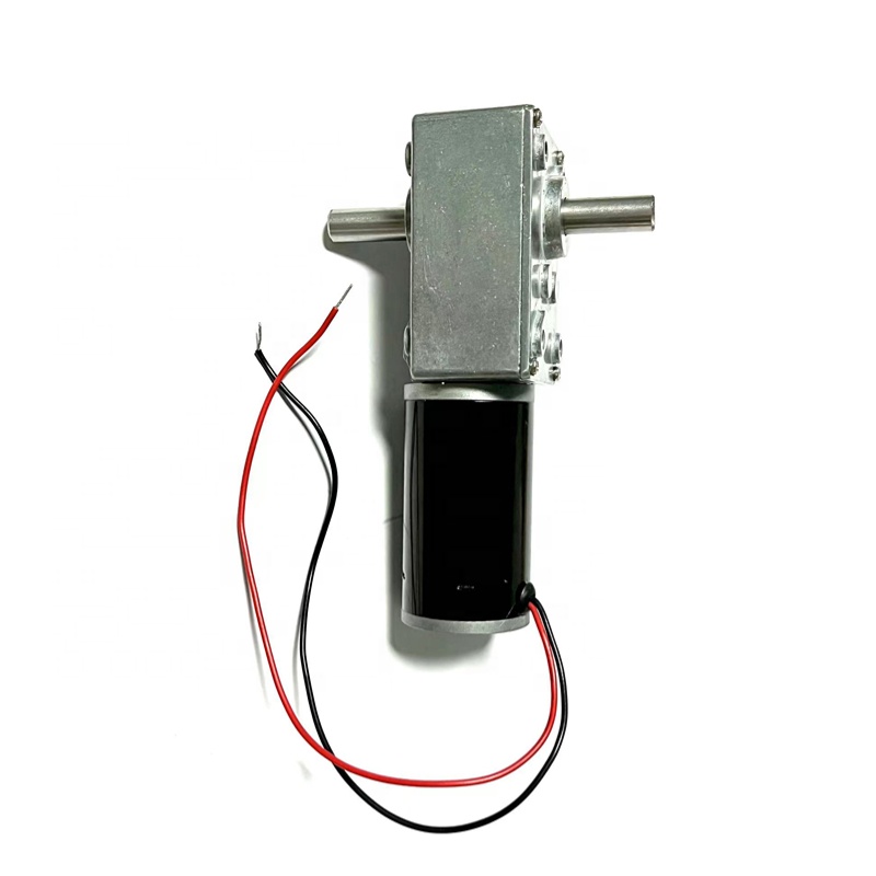 Dual Shaft Brushless Dc Motor 10 Rpm Motor 12V 24V 48V Low Voltage 5840 Worm Gear Motor with Encoder