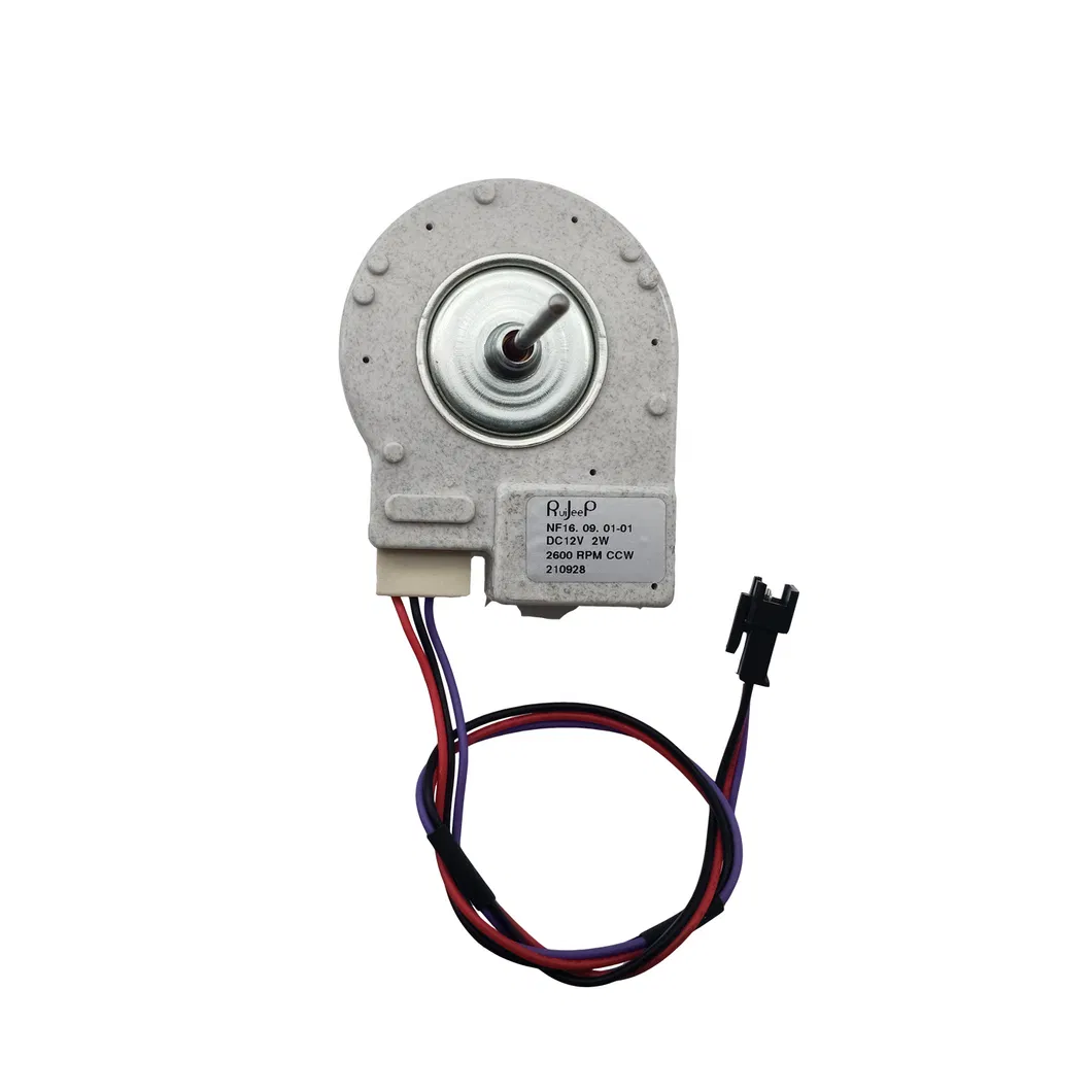 Motor Detail 2