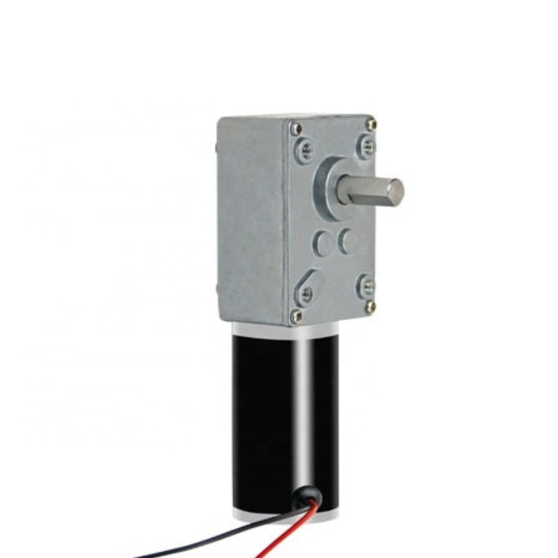 Dual Shaft Brushless Dc Motor 10 Rpm Motor 12V 24V 48V Low Voltage 5840 Worm Gear Motor with Encoder