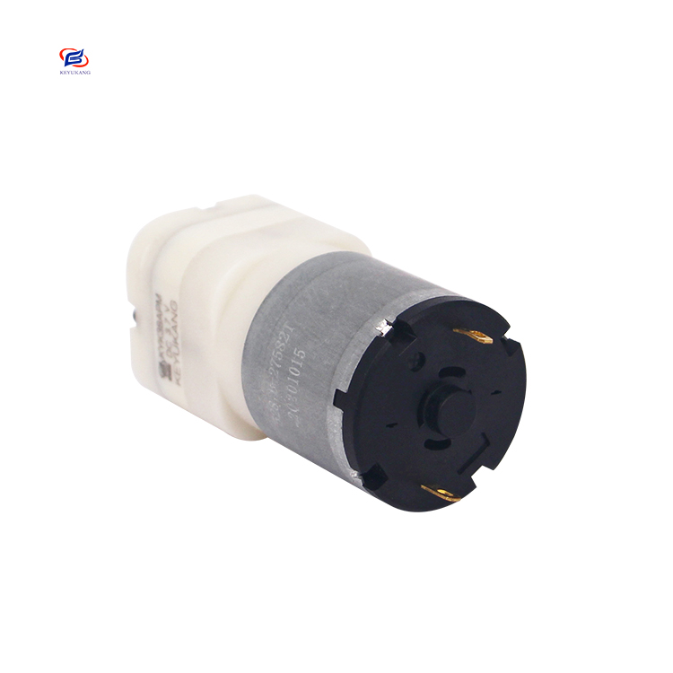 Manufacturer Direct Selling Small Electric 5L/min 12v DC Brushed Motor Micro Mini Diaphragm Motor