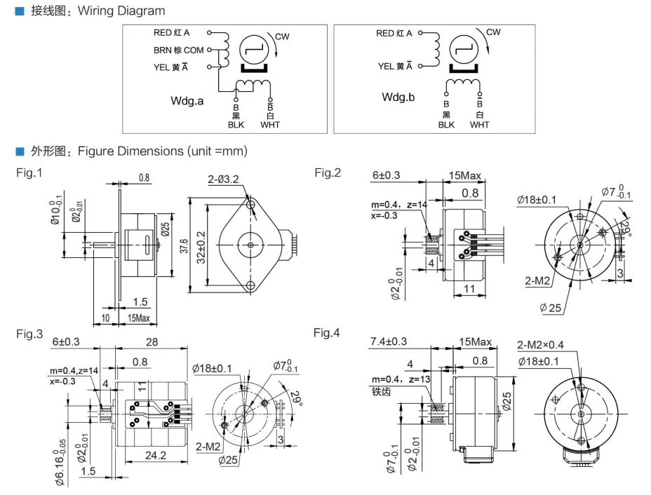 Motor Detail 3