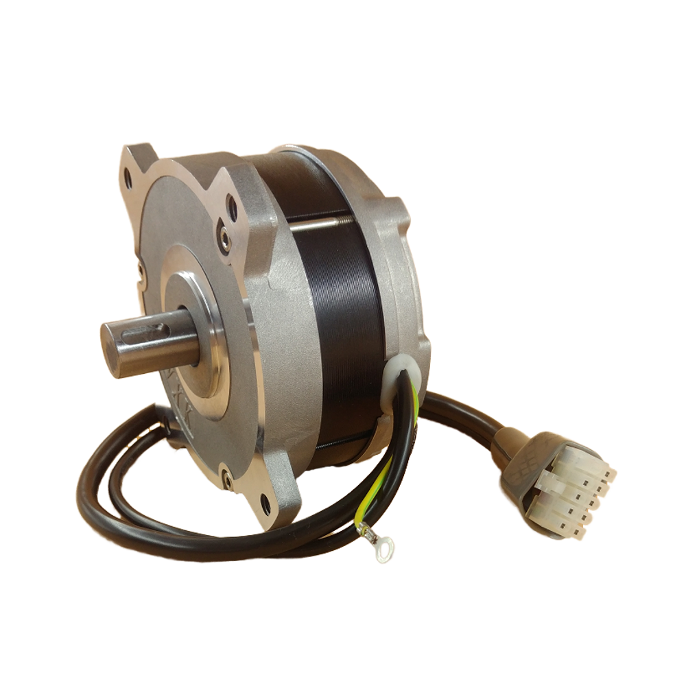 Low Voltage Brushless DC Motor with Permanent Magnet Waterproof ROHS Certified 48V for Home Appliances Electric Bicycles &amp; Boats