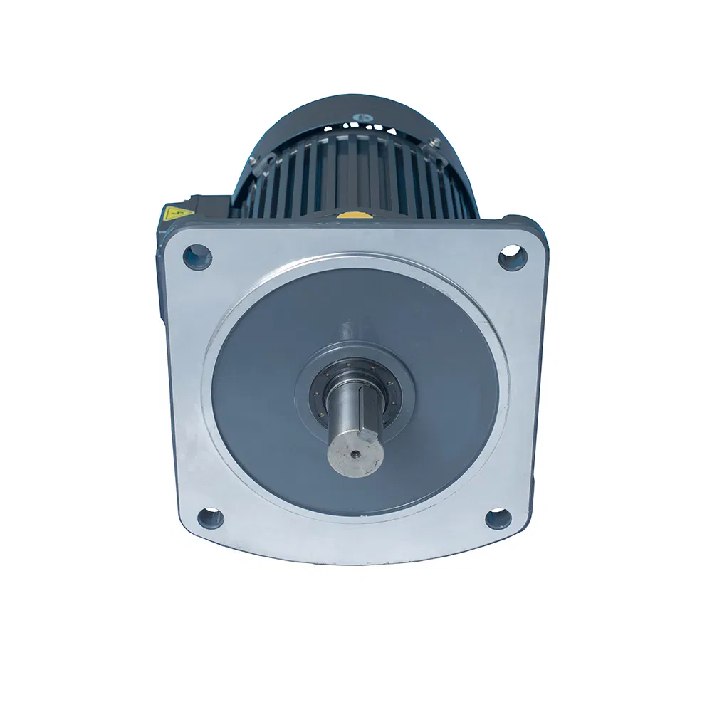 Reliable Asynchronous Industrial Mini Gear Electric Motor Reducer