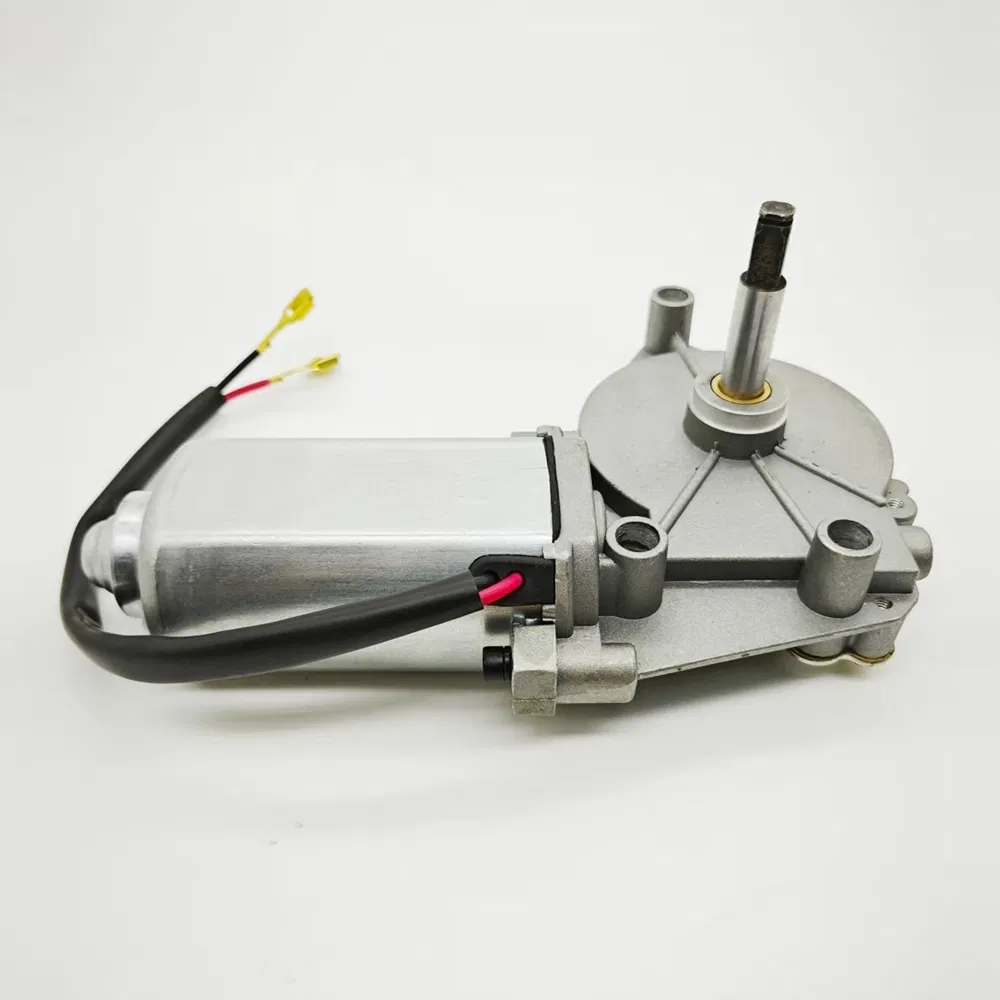 Lwzd206L-MB 11.0max Current Door Pump Micro DC Motor for Automation Equipment