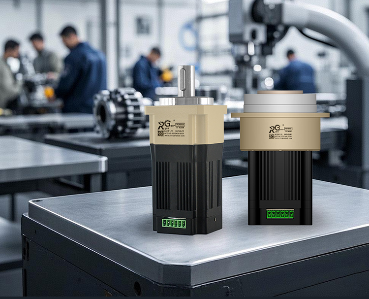 DC Planetary Reduction Servo Motor