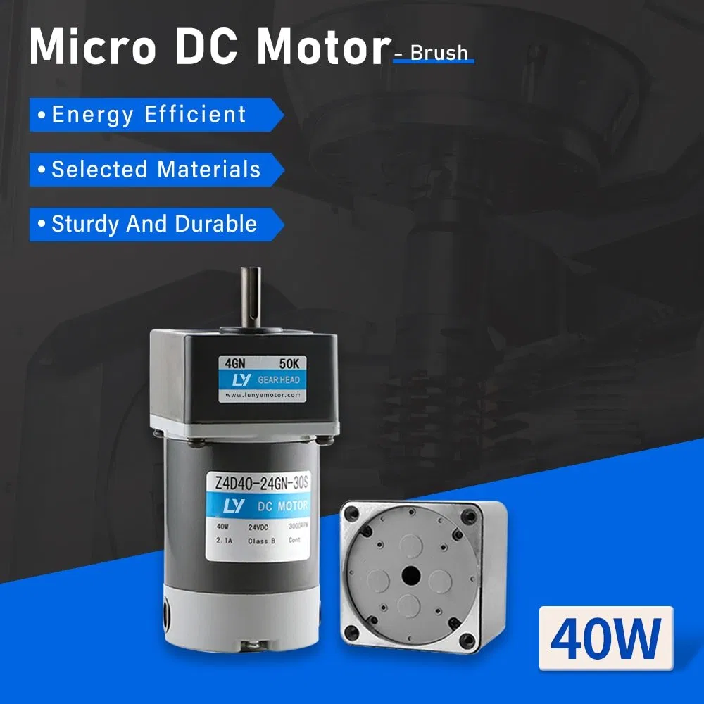 40W Micro Reversible Brushed DC Geared Motor for Automation Equipment