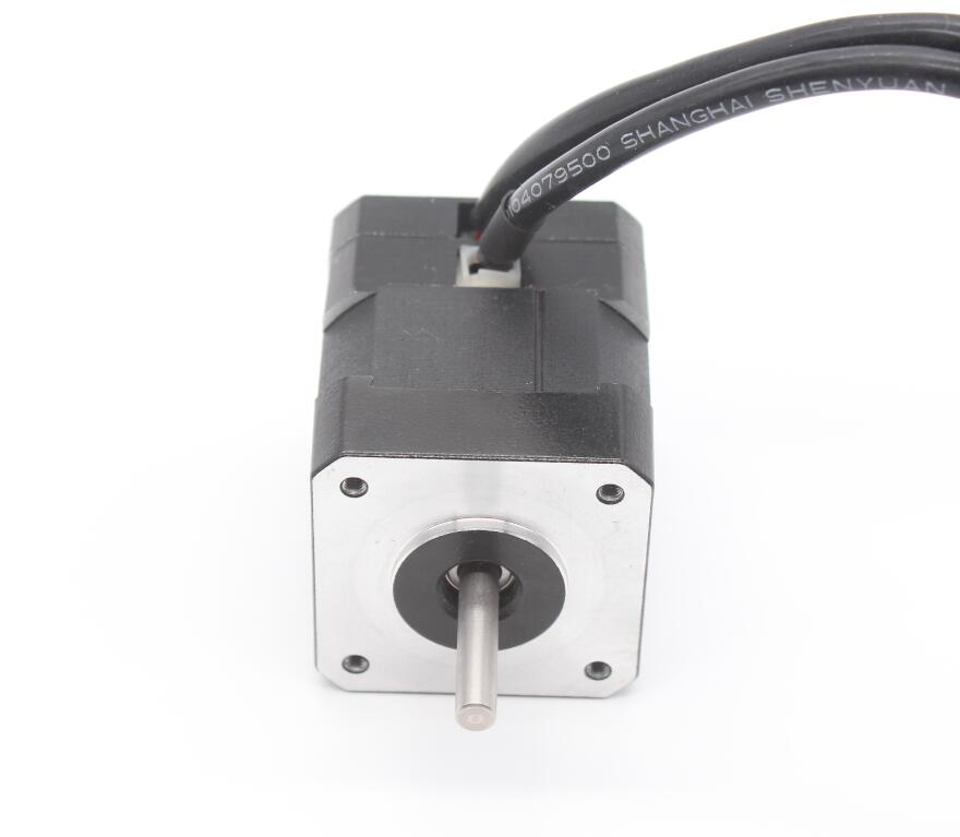 Dual Shaft Brushless DC Motor 24V 4000rpm DC Motor for Medical Devices