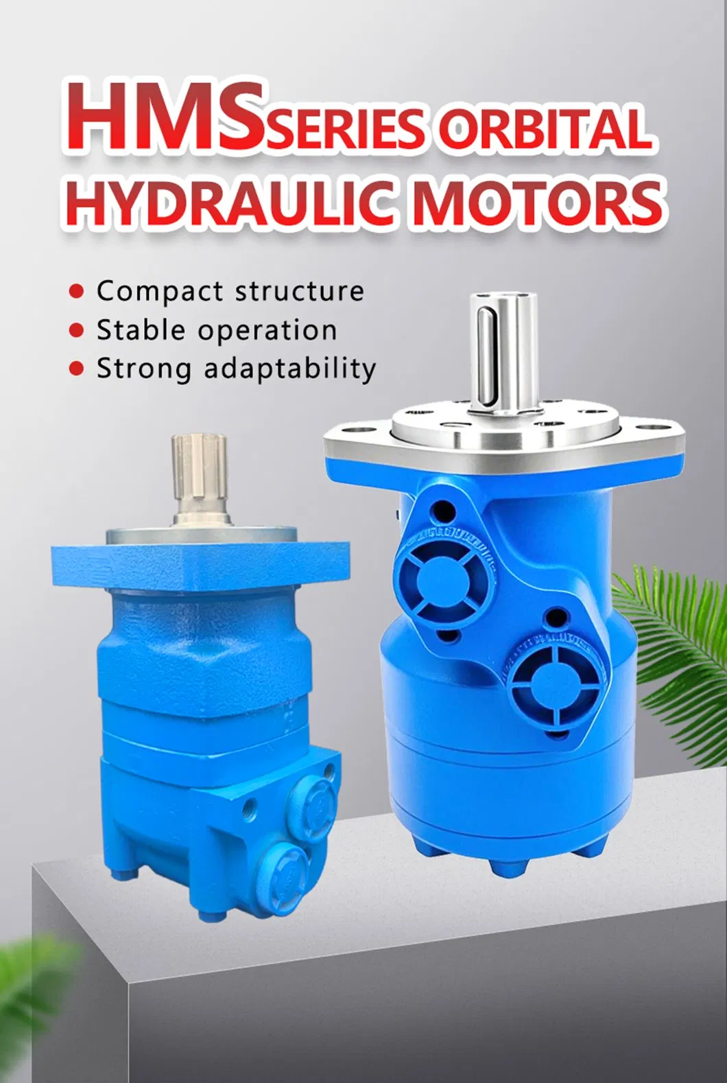Hydraulic Orbital Motor