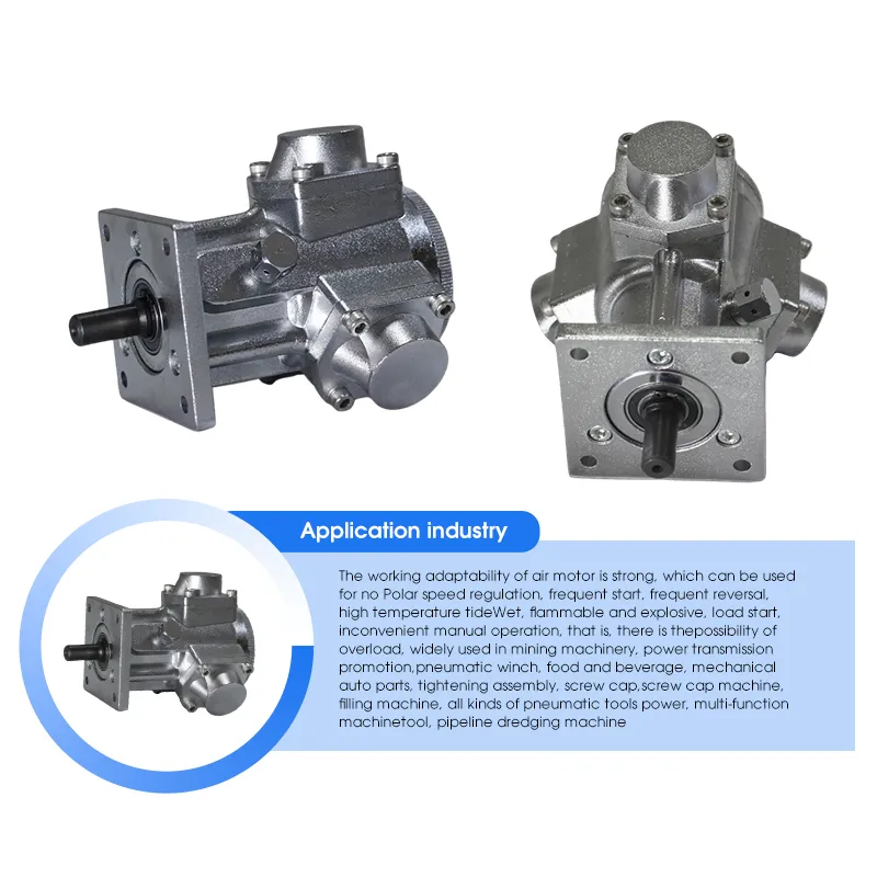 Pneumatic Motor View 3