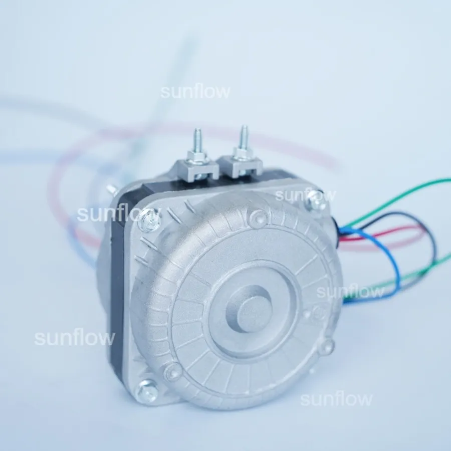 Motor View 4