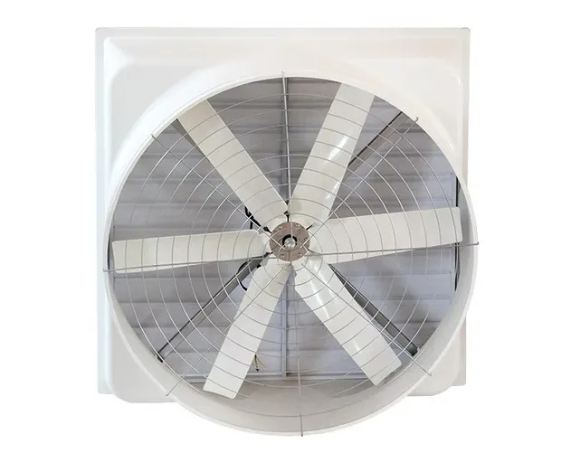 Motor Detail 2
