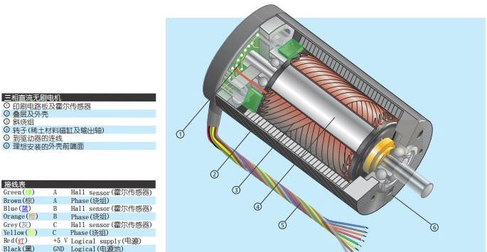 High Speed Coreless Brushless DC Motors 16mm, 22mm, 30mm, 32mm, 35mm, 43mm for Medical Devices