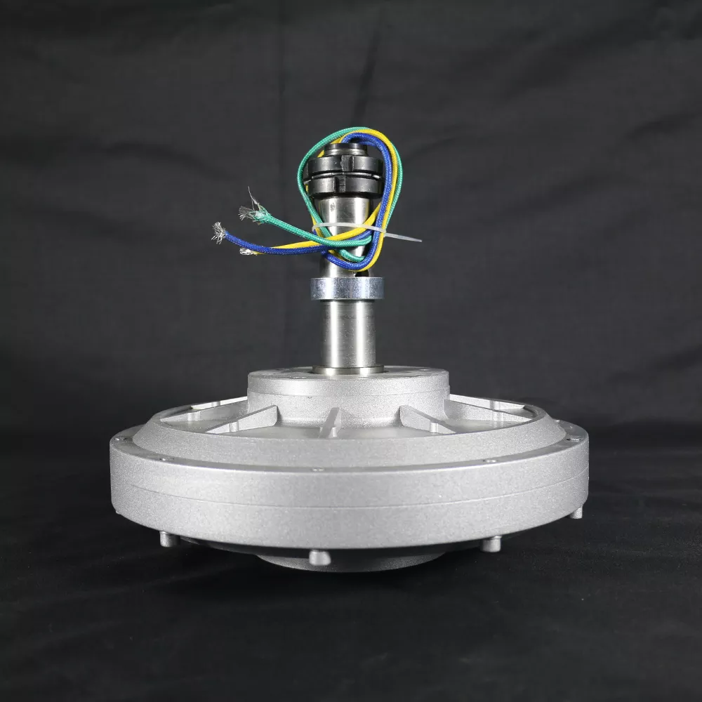 High Efficiey Low Speed 100W 12V 200RPM Coreless Permanent Magnet Alternator Generator Motor Use for Wind Turbine Water Turbine