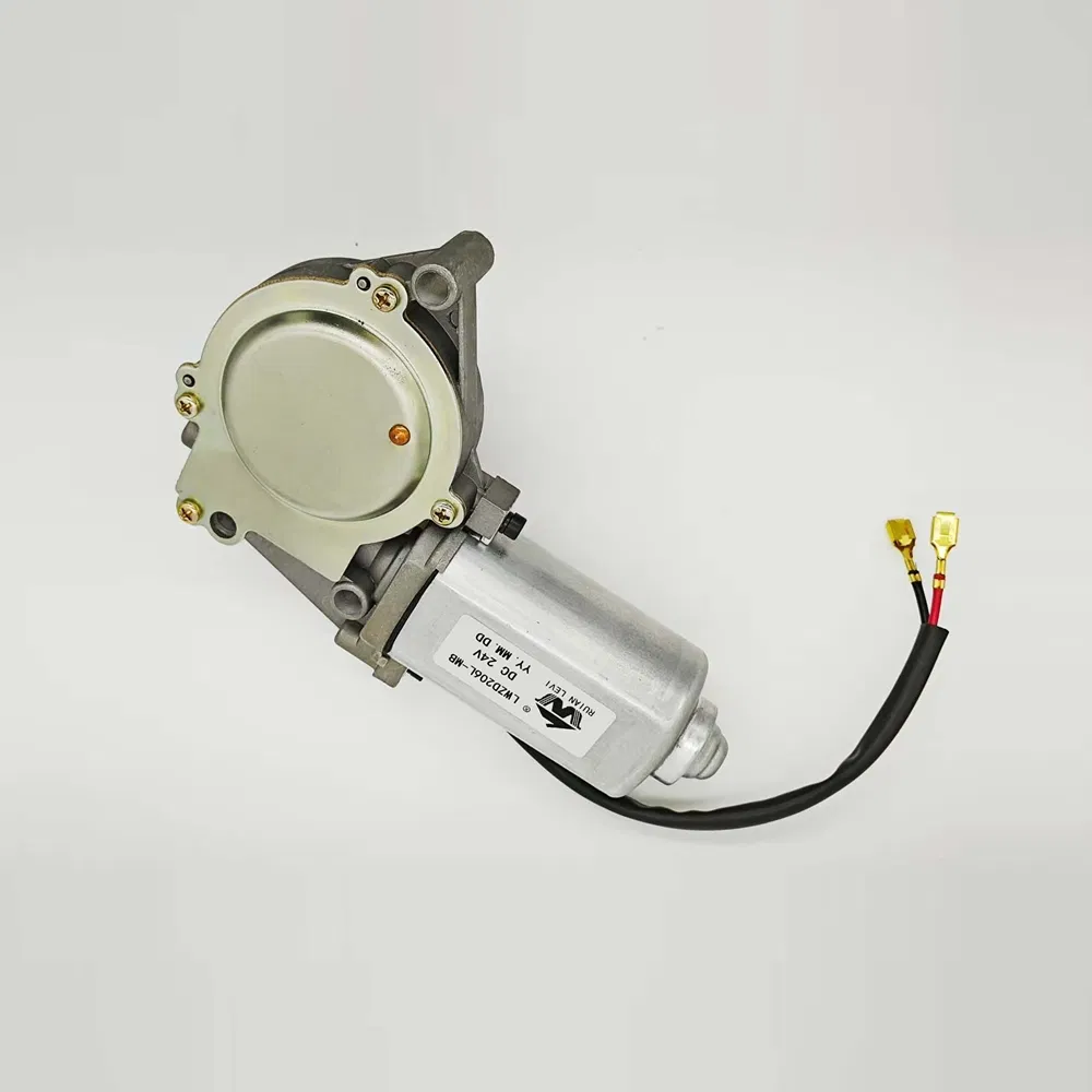 Lwzd206L-MB 11.0max Current Door Pump Micro DC Motor for Automation Equipment
