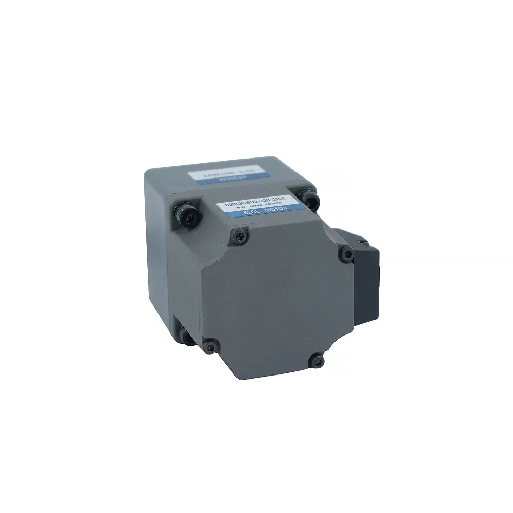 BLDC Motor View 2