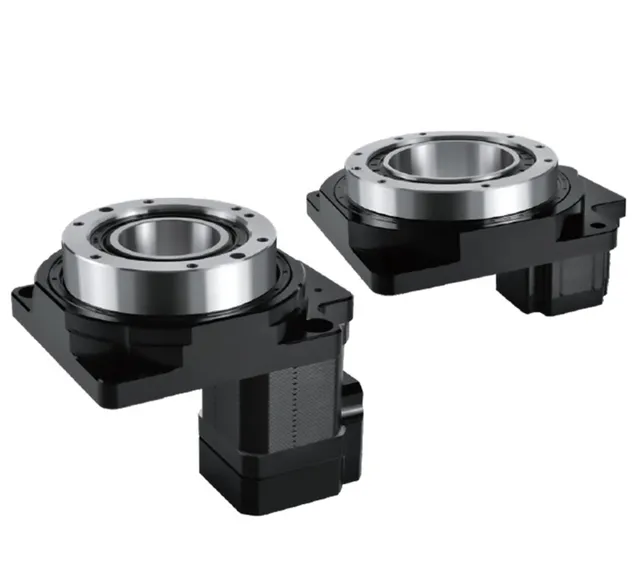 AC Micro Geared Motor 2