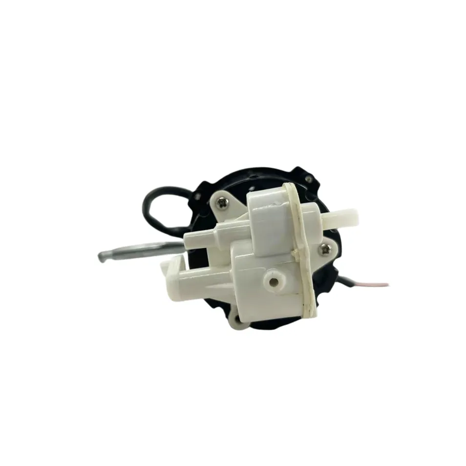 DC Brush Motor Structural View