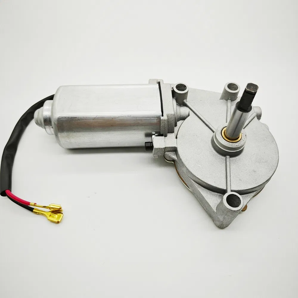 Lwzd206r-MB Door Pump O. 2 N. M Torque Micro DC Motor for Automation Equipment