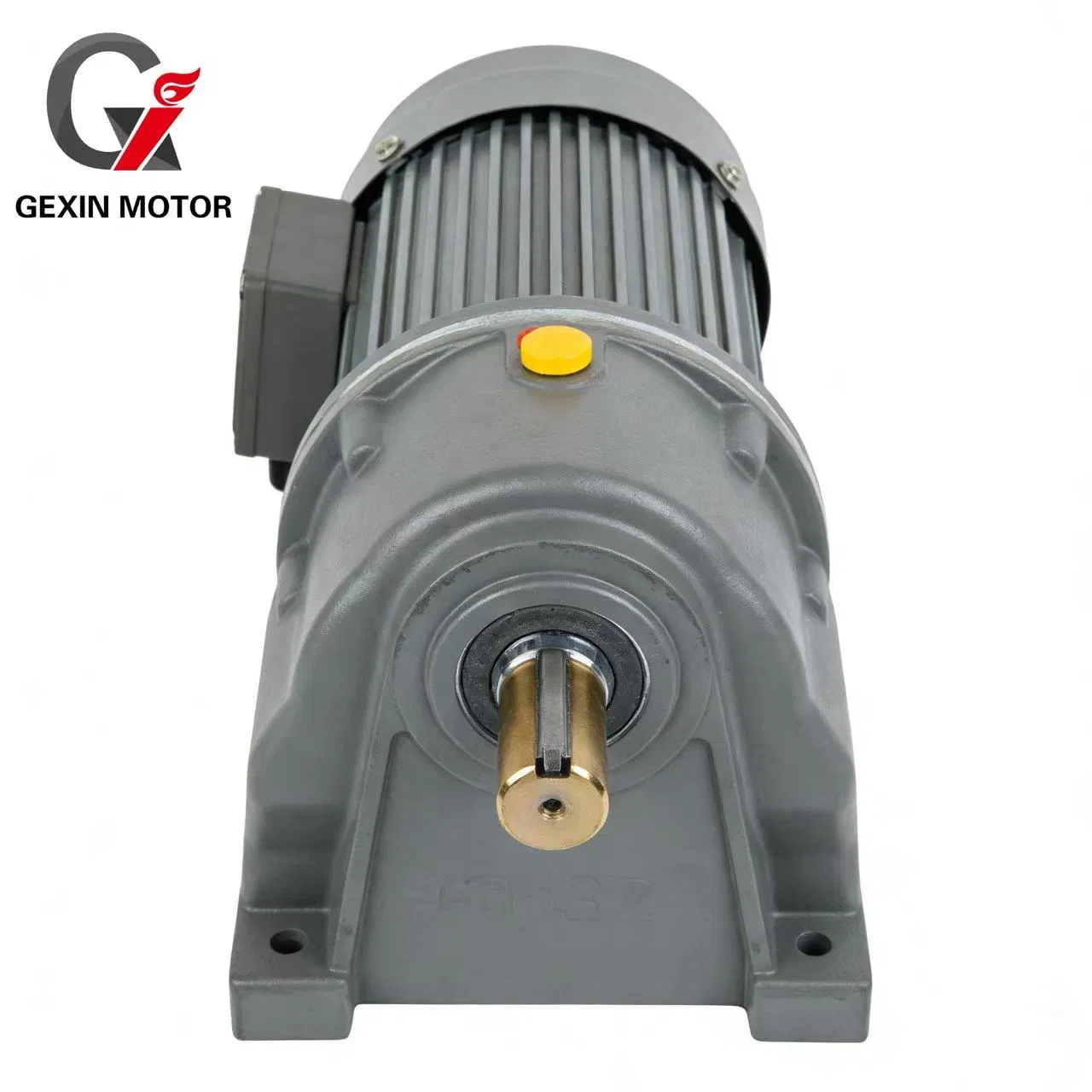 Gexin Small AC Gear Motor 200W 750W 1500W 2200W 3700W Constant Speed Induction Reversible Single Phase Electromagnetic Brake Electric AC Micro Compact