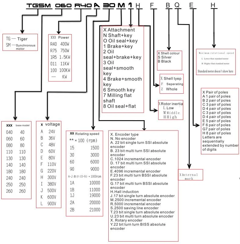 Model Explanation