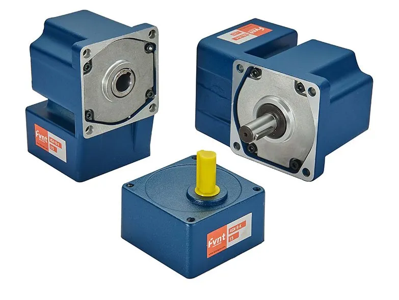 Micro AC Gear Motor