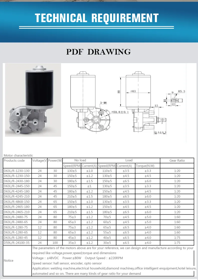 DC Worm Gear Motor Detail 2