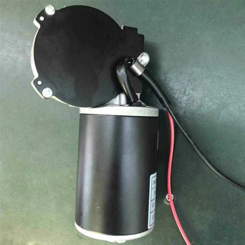 Custom Low Rpm High Torque Bronze Metal Worm Geared Motors Mini Electric DC Motor 12V 24V