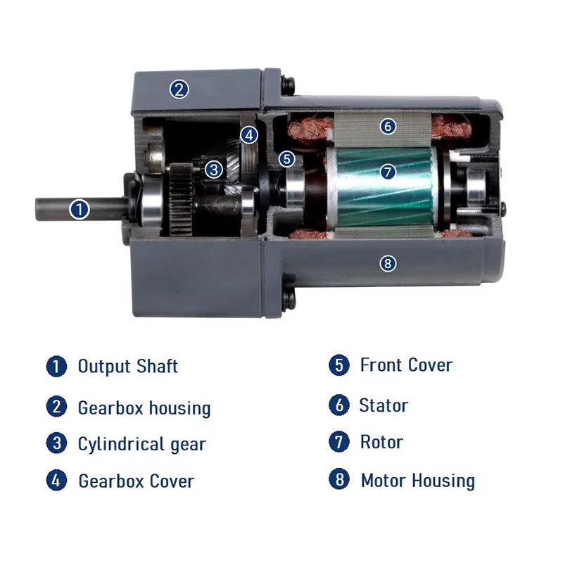 AC Gear Motor