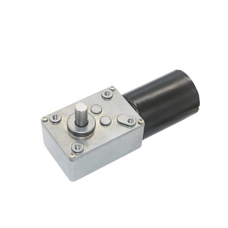 Dual Shaft Brushless Dc Motor 10 Rpm Motor 12V 24V 48V Low Voltage 5840 Worm Gear Motor with Encoder