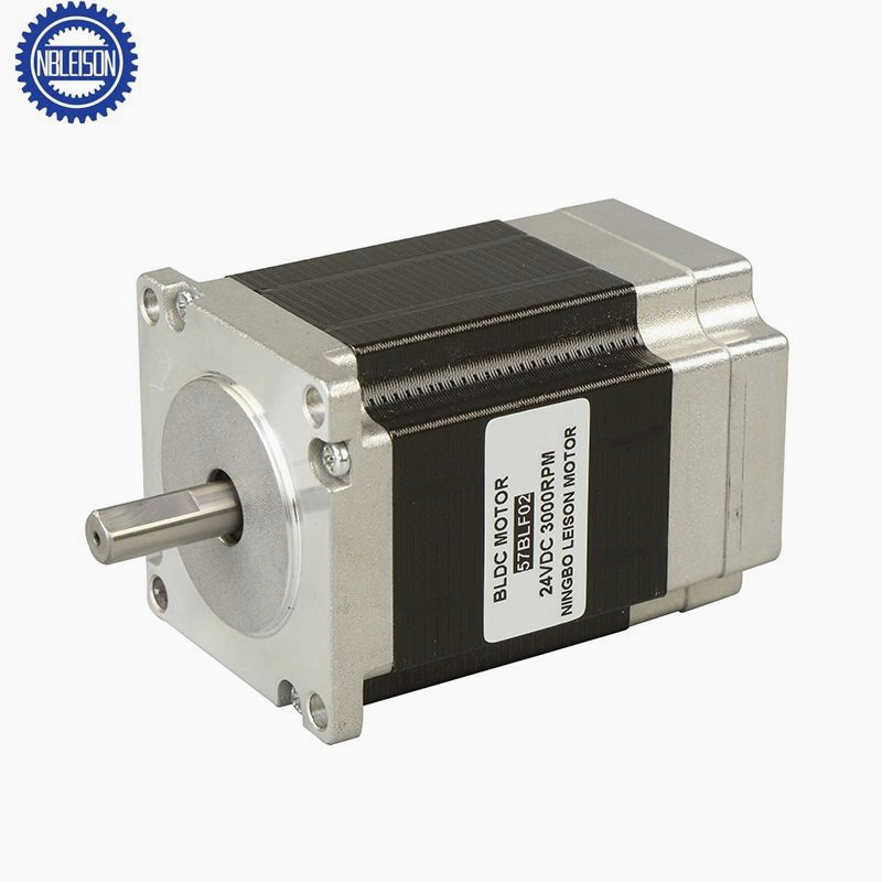 57mm 24V 36V 50W 100W 200W 250W 3000rpm BLDC Brushless DC Motor
