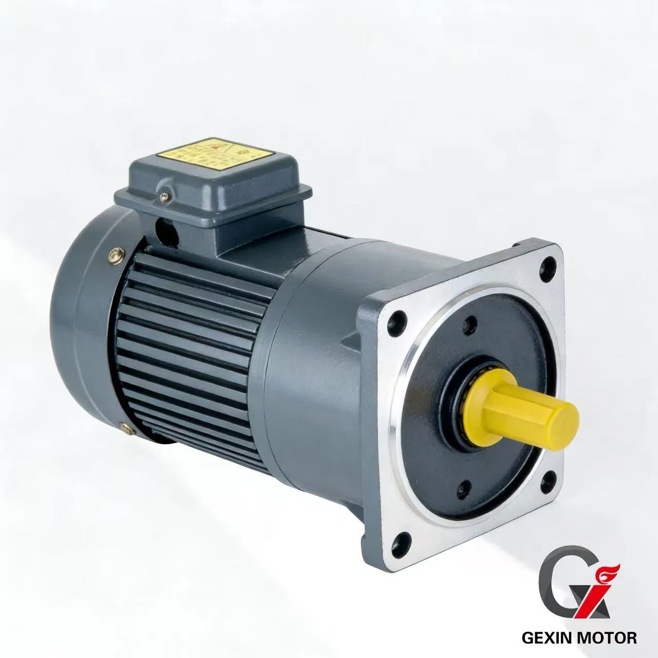 Gexin Small AC Gear Motor 200W 750W 1500W 2200W 3700W Constant Speed Induction Reversible Single Phase Electromagnetic Brake Electric AC Micro Compact