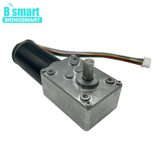 BringSmart SR5840-31ZYB High Torque Low Speed 40rpm 12 Volt 24v Single Shaft Dc Worm Encoder Gear Motor with Self Locking