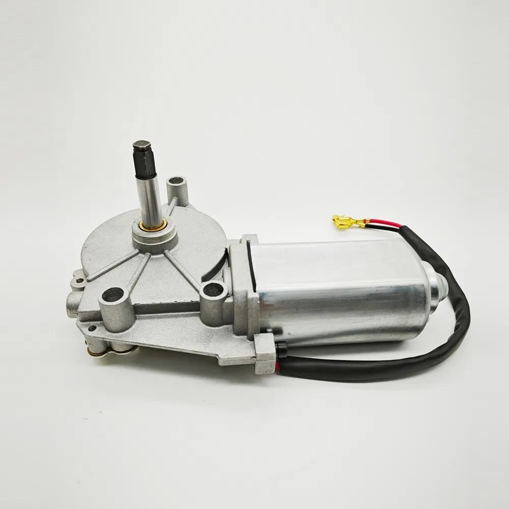 Lwzd206r-MB Door Pump O. 2 N. M Torque Micro DC Motor for Automation Equipment