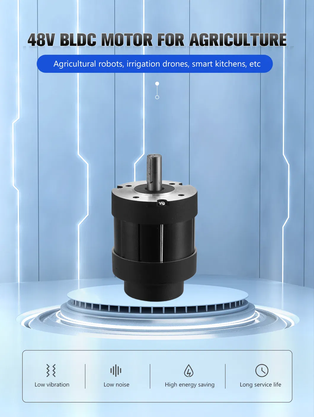 48V Centrifuge Motor Detail