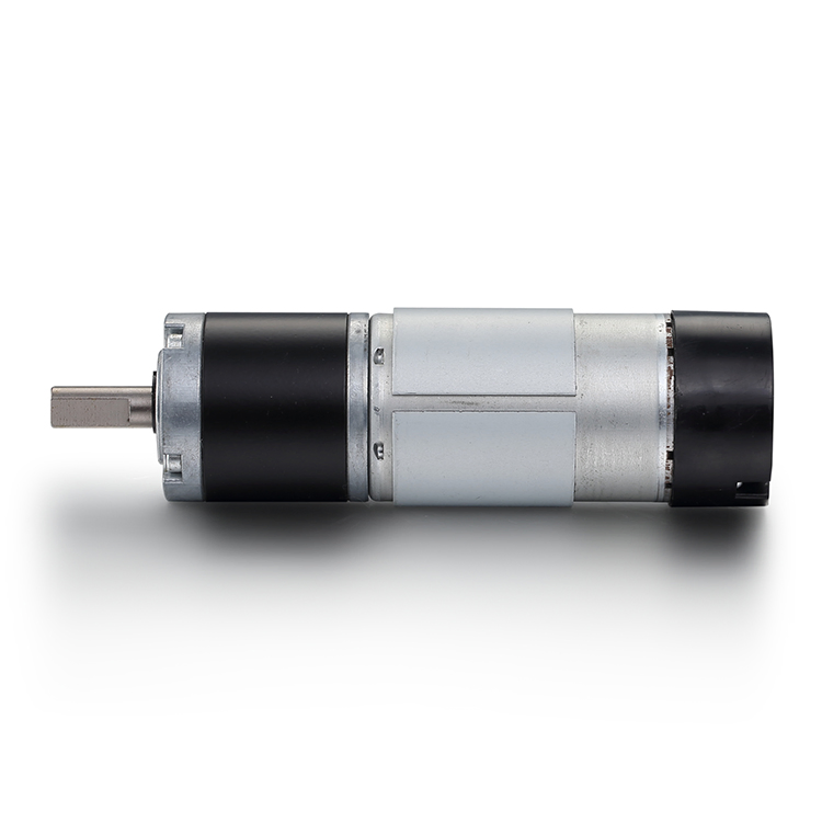 High Torque 12V and 24V DC Gear Motor for Robotics