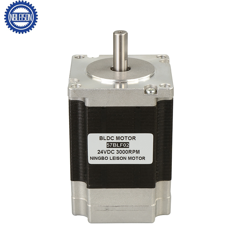 57mm 24V 36V 50W 100W 200W 250W 3000rpm BLDC Brushless DC Motor