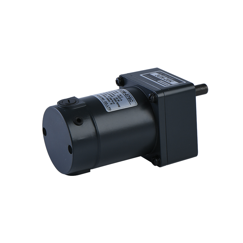 Micro Brushed DC Gear Reduction Electric Motor for Industry Automation 10W 15W 25W 30W 40W 60W 90W 120W 140W 160W 180W 200W 250W 300W