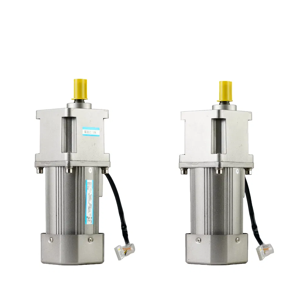 180W 250W 300W 370W Electric AC Gear Motor for Medical Devices