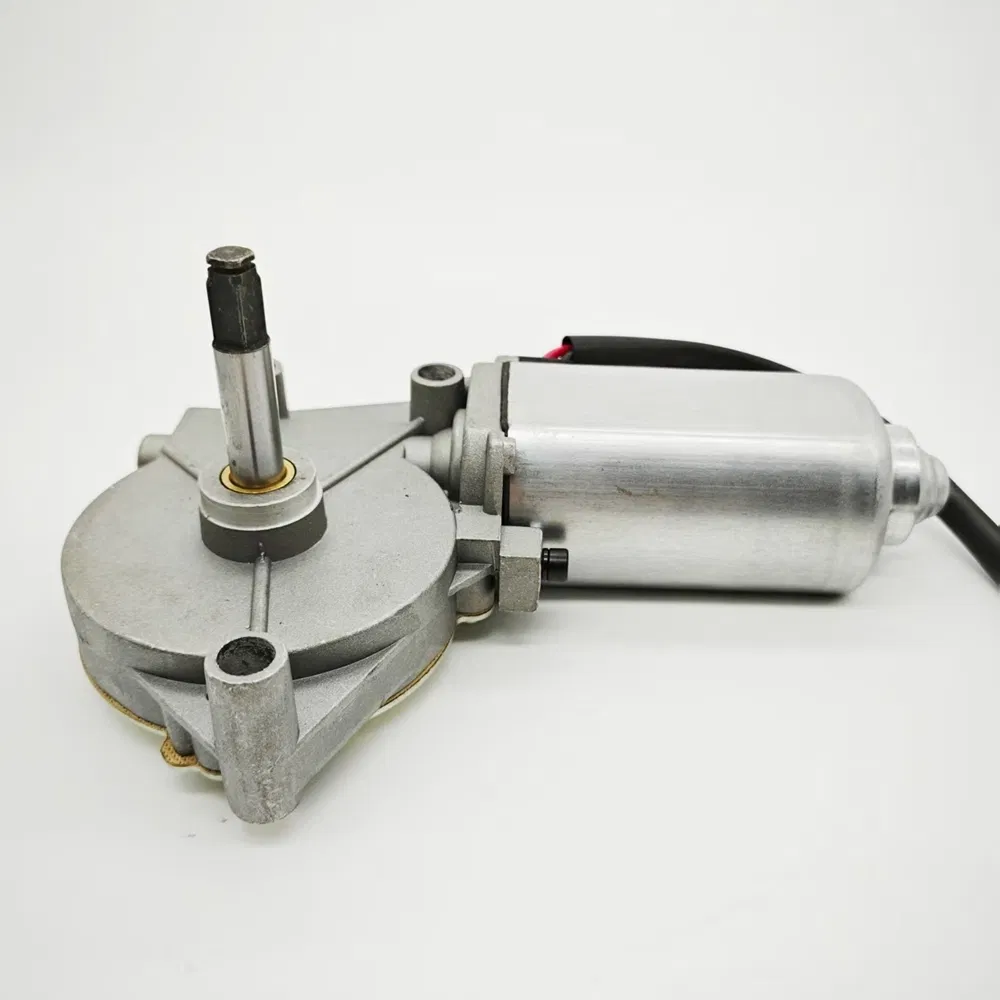 Lwzd206L-MB 11.0max Current Door Pump Micro DC Motor for Automation Equipment