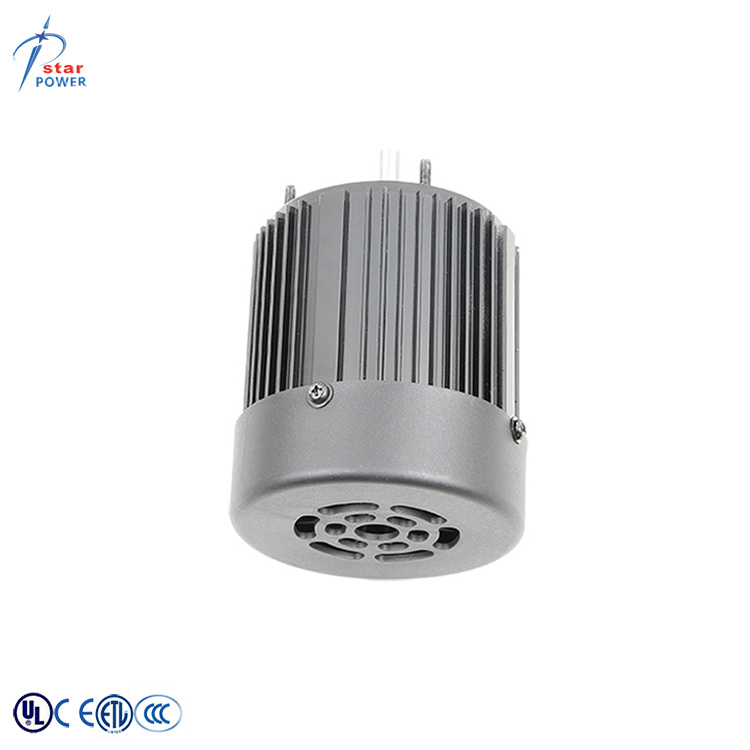 Electric Fan Motor View 1