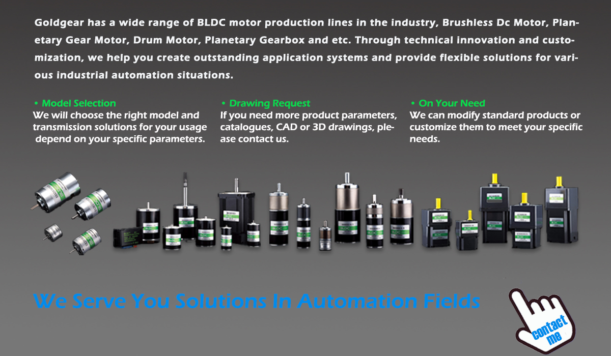 Customized Brushless DC Motor Main