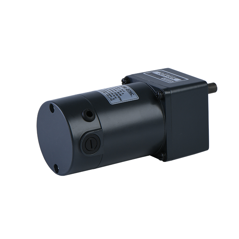 Micro Brushed DC Gear Reduction Electric Motor for Industry Automation 10W 15W 25W 30W 40W 60W 90W 120W 140W 160W 180W 200W 250W 300W