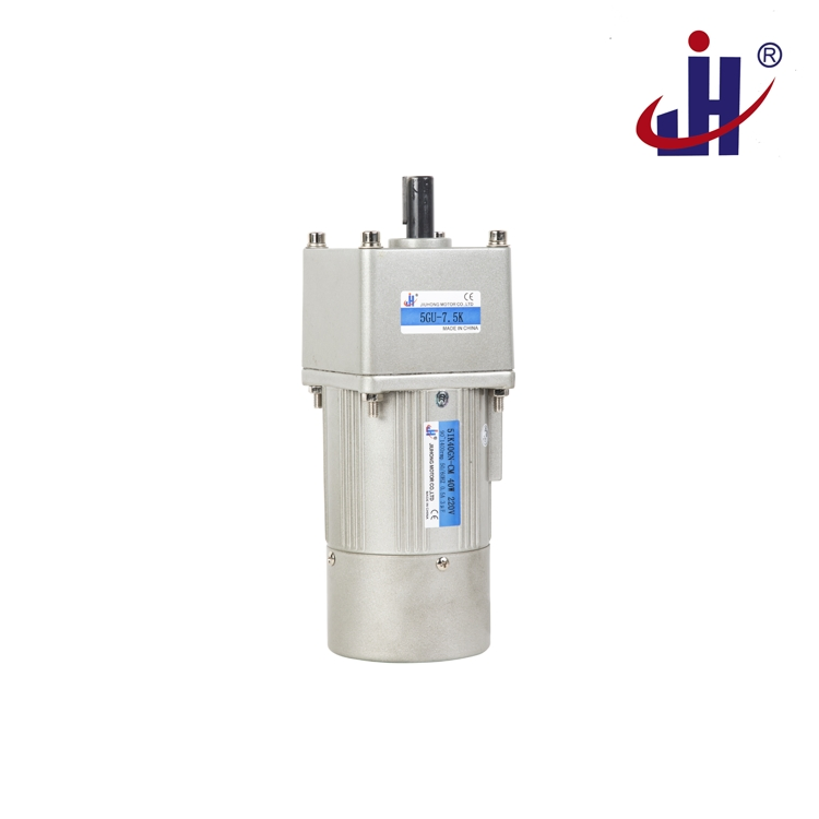 Micro AC Gear Motor with Precision Brake System for Optimal Control